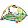 Baby Einstein Seek & Discover Activity Gym